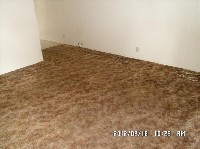 2-bed apartment with garage and laundry facility - $1200 Move-in! 9